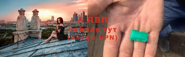 гидра Новодвинск