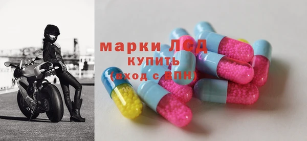 гидра Новодвинск