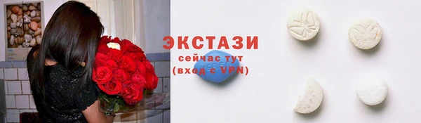 гидра Новодвинск