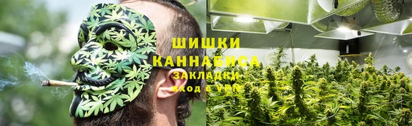 гидра Новодвинск