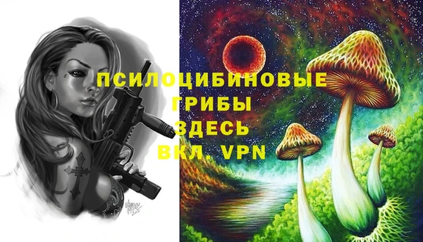 гашиш Новокубанск