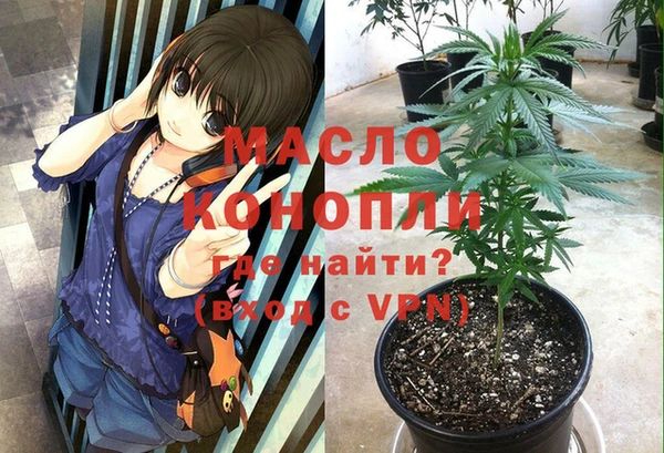 гидра Новодвинск
