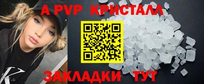 ECSTASY Аргун