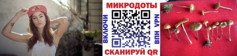 цены   Балахна  Псилоцибиновые грибы GOLDEN TEACHER 