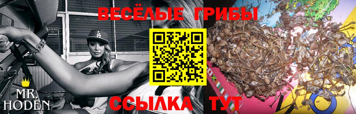 Псилоцибиновые грибы мухоморы Балахна