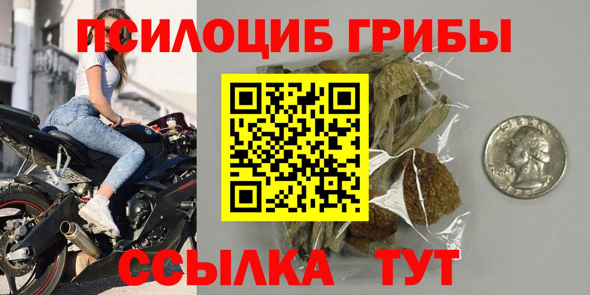 Галлюциногенные грибы прущие грибы  Вход с VPN  Балахна 