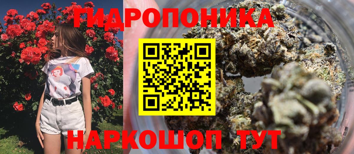 Марихуана конопля  Вход с VPN  Марихуана THC 21%  Бошки Шишки сатива  Балахна 